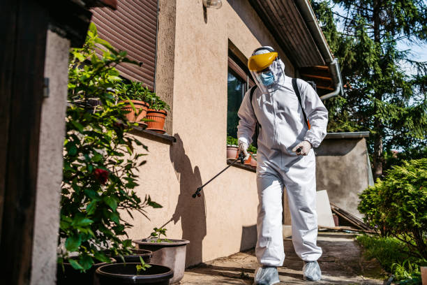 Best Affordable Pest Control Services  in Lakes Of The Four Seasons, IN