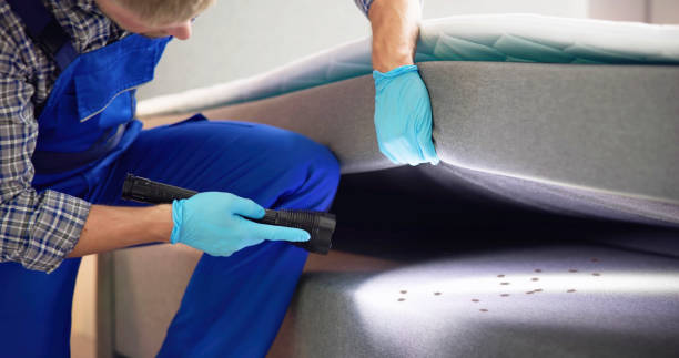 Flea Control Services in Lakes Of The Four Seasons, IN