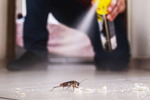 Best Exterminator Services  in Lakes Of The Four Seasons, IN